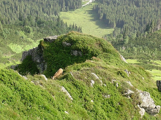 W drodze na Kasprowy Wierch